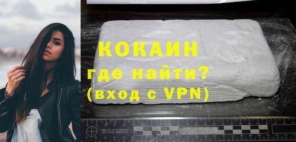 эйфоретик Тайга