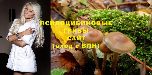гашик Волоколамск