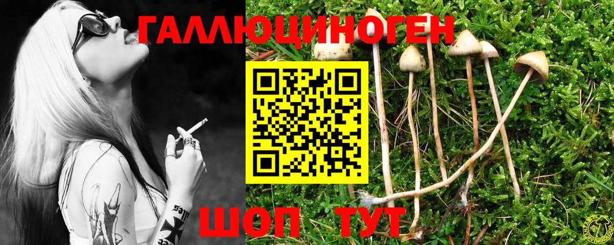 даркнет сайт  Вход с VPN  Наро-Фоминск  Галлюциногенные грибы прущие грибы  Галлюциногенные грибы мухоморы 