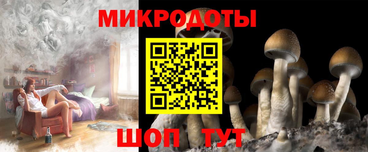 Псилоцибиновые грибы Cubensis Наро-Фоминск